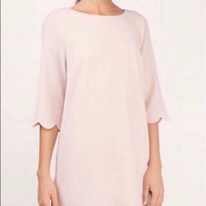 Sweetly Scalloped Dress